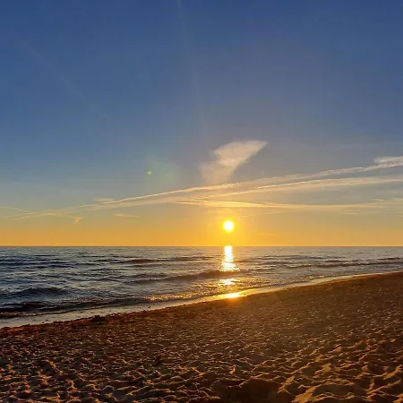 Pajurio Azuolo Istorija 10 *