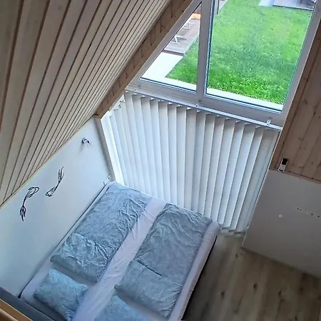 Pajurio Azuolo Istorija 10 * Паланга