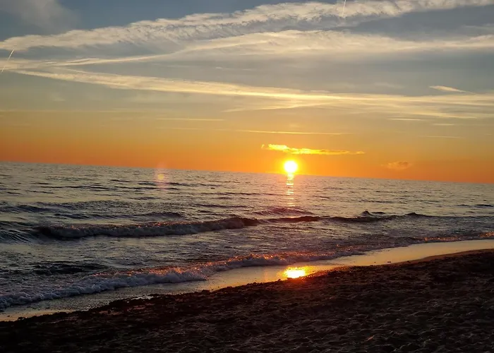 Pajurio Azuolo Istorija 10 Palanga