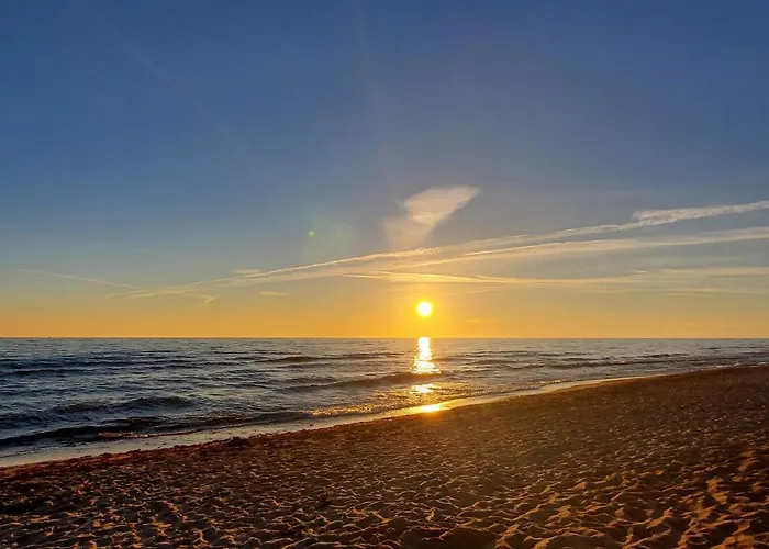 Pajurio Azuolo Istorija 10 *