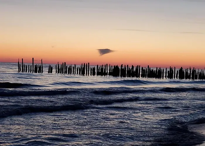 Pajurio Azuolo Istorija 10 Palanga