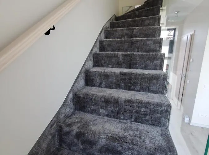 Pajurio Azuolo Istorija 10 *