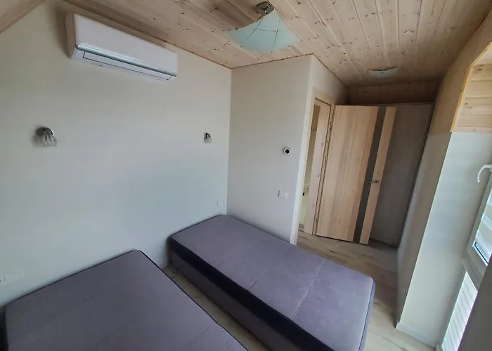 Pajurio Azuolo Istorija 10 *